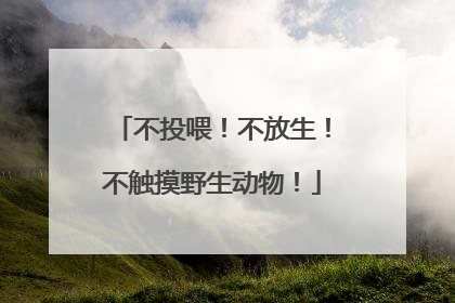 不投喂！不放生！不触摸野生动物！