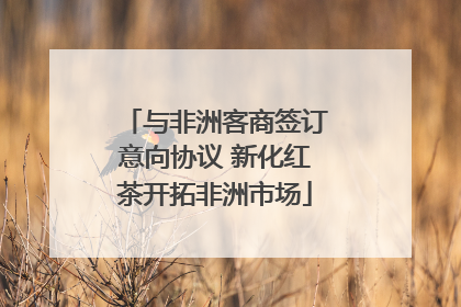 与非洲客商签订意向协议 新化红茶开拓非洲市场