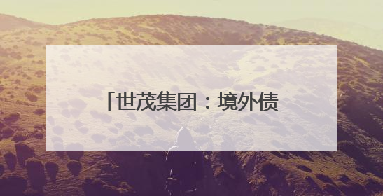 世茂集团：境外债务重组计划不晚于8月29日生效，将削债115亿美元
