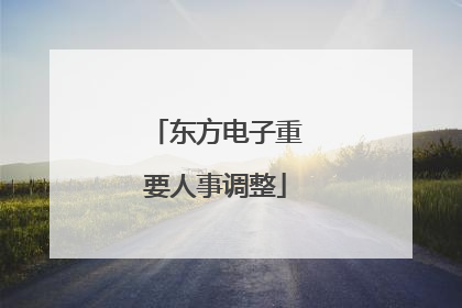东方电子重要人事调整