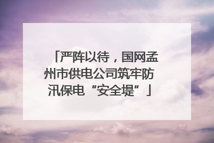 严阵以待，国网孟州市供电公司筑牢防汛保电“安全堤”