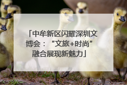 中牟新区闪耀深圳文博会：“文旅+时尚”融合展现新魅力