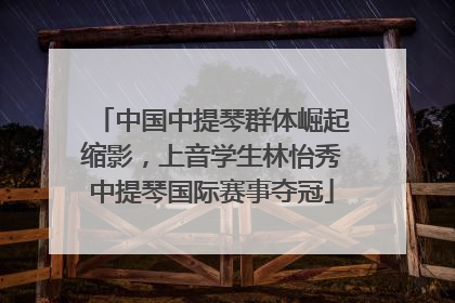 中国中提琴群体崛起缩影，上音学生林怡秀中提琴国际赛事夺冠