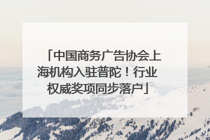 中国商务广告协会上海机构入驻普陀！行业权威奖项同步落户
