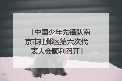 中国少年先锋队南京市建邺区第六次代表大会顺利召开