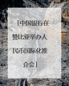 中国银行在赞比亚举办人民币国际化推介会