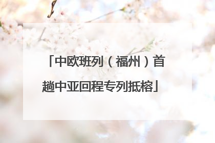 中欧班列（福州）首趟中亚回程专列抵榕