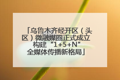乌鲁木齐经开区（头区）微融媒圈正式成立 构建“1+5+N”全媒体传播新格局