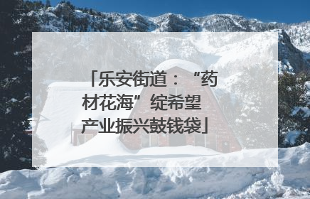 乐安街道：“药材花海”绽希望 产业振兴鼓钱袋