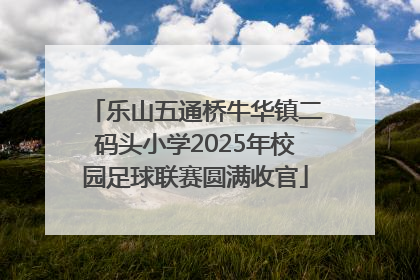 乐山五通桥牛华镇二码头小学2025年校园足球联赛圆满收官