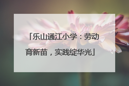 乐山通江小学：劳动育新苗，实践绽华光