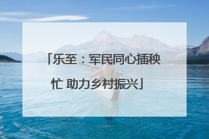 乐至:军民同心插秧忙 助力乡村振兴