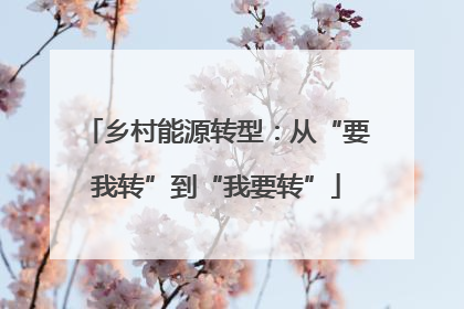 乡村能源转型：从“要我转”到“我要转”