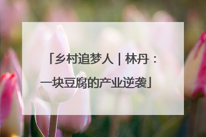 乡村追梦人｜林丹：一块豆腐的产业逆袭