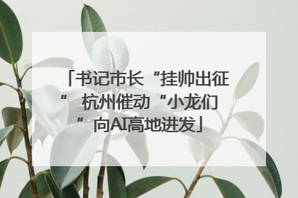 书记市长“挂帅出征” 杭州催动“小龙们”向AI高地进发