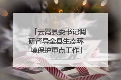 云霄县委书记调研督导全县生态环境保护重点工作