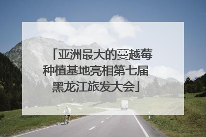 亚洲最大的蔓越莓种植基地亮相第七届黑龙江旅发大会