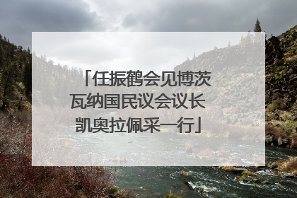 任振鹤会见博茨瓦纳国民议会议长凯奥拉佩采一行