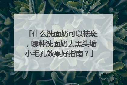 什么洗面奶可以祛斑，哪种洗面奶去黑头缩小毛孔效果好指南？