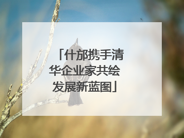 什邡携手清华企业家共绘发展新蓝图