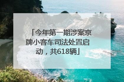 今年第一期涉案京牌小客车司法处置启动，共618辆