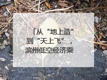 从“地上造”到“天上飞”，滨州低空经济乘势而上｜潮起渤海・网聚黄蓝