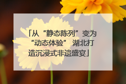 从“静态陈列”变为“动态体验” 湖北打造沉浸式非遗盛宴
