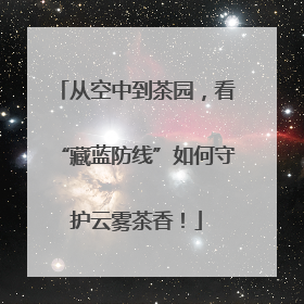 从空中到茶园，看“藏蓝防线”如何守护云雾茶香！