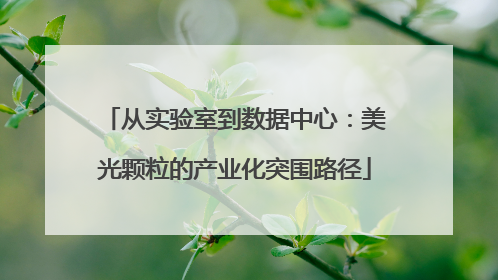 从实验室到数据中心：美光颗粒的产业化突围路径