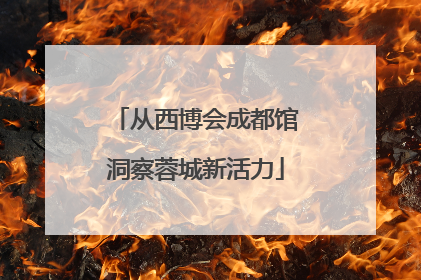 从西博会成都馆洞察蓉城新活力