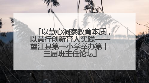 以慧心洞察教育本质，以慧行创新育人实践——望江县第一小学举办第十三届班主任论坛