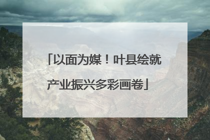 以面为媒！叶县绘就产业振兴多彩画卷