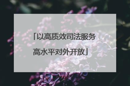 以高质效司法服务高水平对外开放