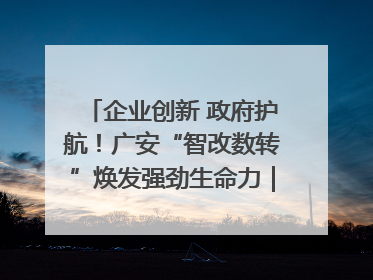 企业创新 政府护航！广安“智改数转”焕发强劲生命力｜市州焕新力