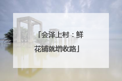 会泽上村：鲜花铺就增收路