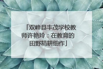 双峰县丰茂学校教师许艳玲：在教育的田野精耕细作