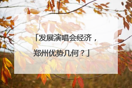 发展演唱会经济，郑州优势几何？