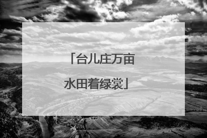 台儿庄万亩水田着绿裳