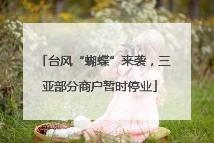 台风“蝴蝶”来袭，三亚部分商户暂时停业