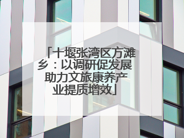 十堰张湾区方滩乡：以调研促发展 助力文旅康养产业提质增效