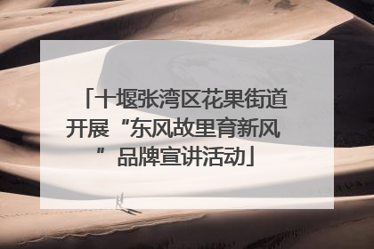 十堰张湾区花果街道开展“东风故里育新风”品牌宣讲活动