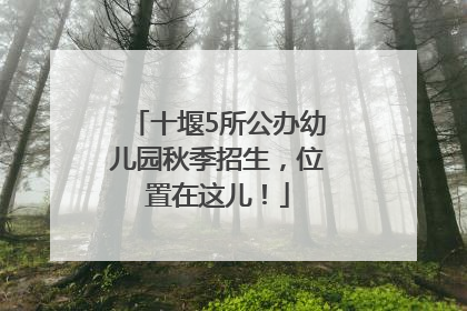 十堰5所公办幼儿园秋季招生，位置在这儿！