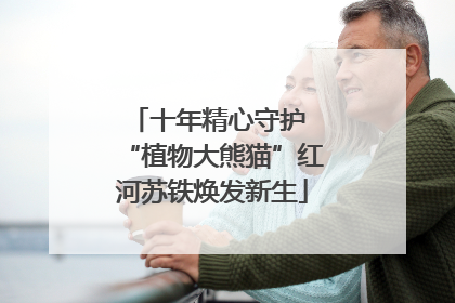 十年精心守护 “植物大熊猫”红河苏铁焕发新生
