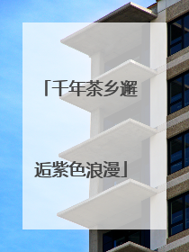 千年茶乡邂逅紫色浪漫