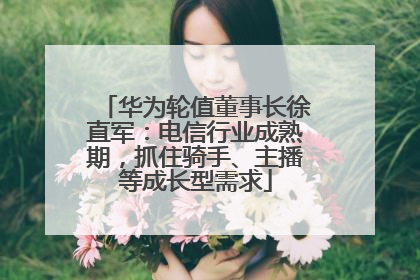 华为轮值董事长徐直军：电信行业成熟期，抓住骑手、主播等成长型需求