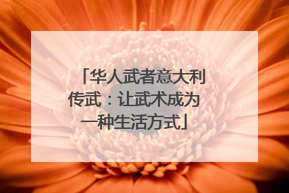 华人武者意大利传武：让武术成为一种生活方式