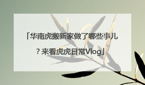 华南虎搬新家做了哪些事儿？来看虎虎日常Vlog
