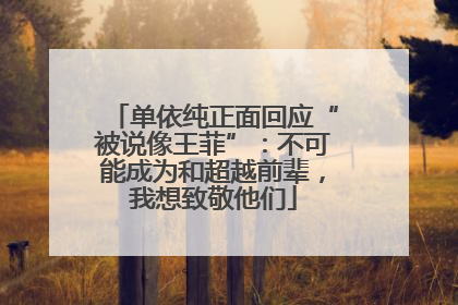 单依纯正面回应“被说像王菲”：不可能成为和超越前辈，我想致敬他们