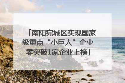 南阳宛城区实现国家级重点“小巨人”企业零突破1家企业上榜