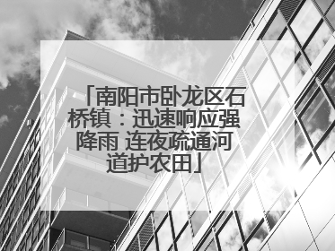 南阳市卧龙区石桥镇：迅速响应强降雨 连夜疏通河道护农田